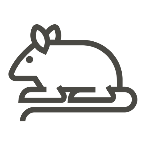 Transportowka z papugą