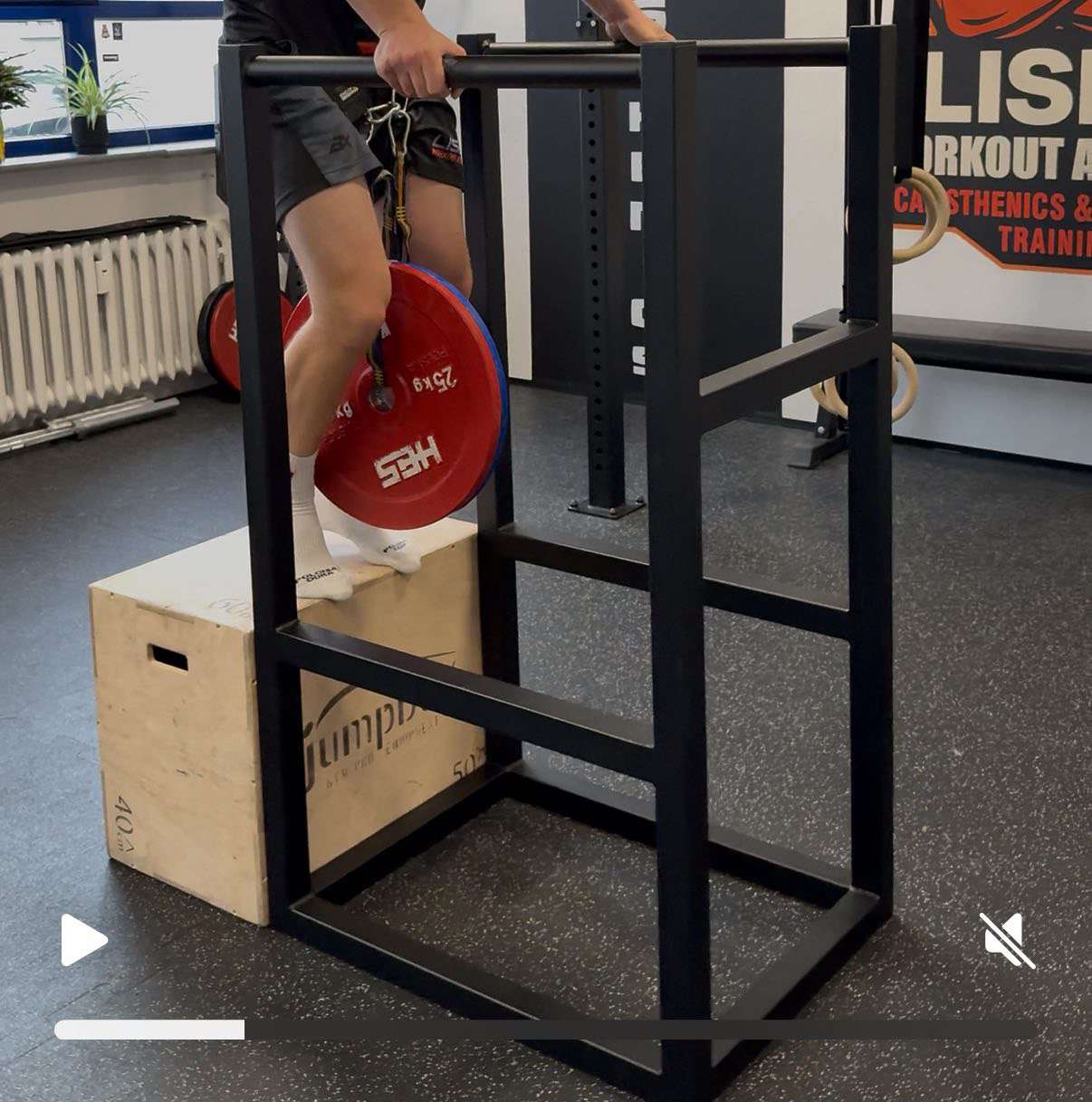 Sprzęt Sportowy / Siłownia