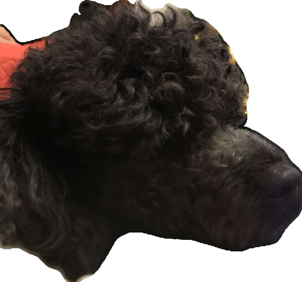 Przeprowadzka- kartony